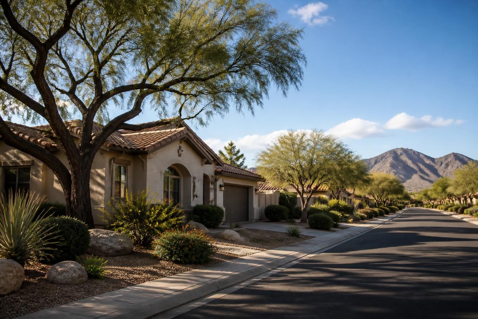 Glendale neighborhood with tidy homes and desert trees